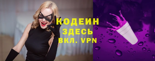 прущие грибы Армянск