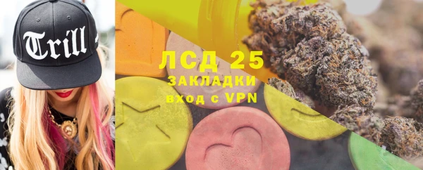 прущие грибы Армянск
