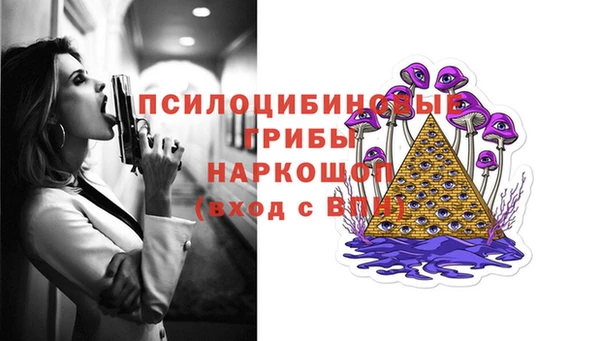 прущие грибы Армянск